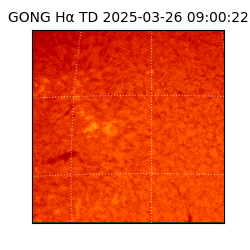 gong - 2025-03-26T09:00:22