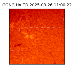 gong - 2025-03-26T11:00:22