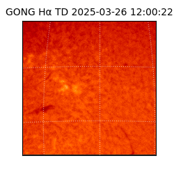 gong - 2025-03-26T12:00:22