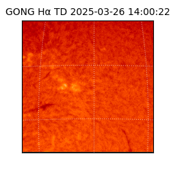 gong - 2025-03-26T14:00:22