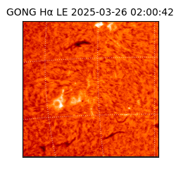 gong - 2025-03-26T02:00:42