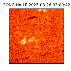 gong - 2025-03-26T03:00:42