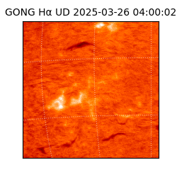 gong - 2025-03-26T04:00:02