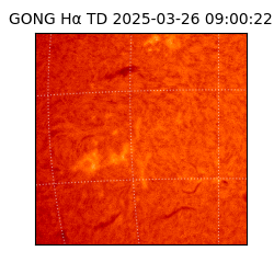 gong - 2025-03-26T09:00:22