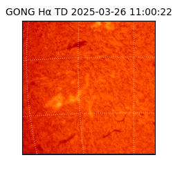 gong - 2025-03-26T11:00:22