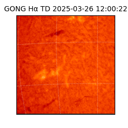 gong - 2025-03-26T12:00:22