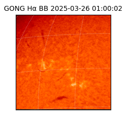 gong - 2025-03-26T01:00:02