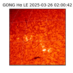 gong - 2025-03-26T02:00:42