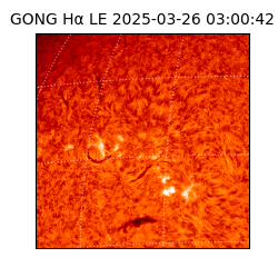 gong - 2025-03-26T03:00:42