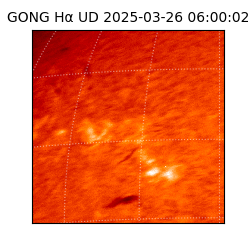 gong - 2025-03-26T06:00:02