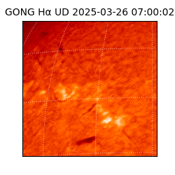 gong - 2025-03-26T07:00:02