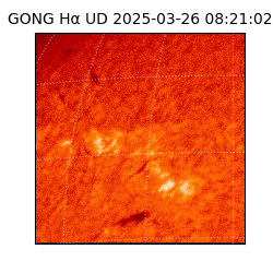 gong - 2025-03-26T08:21:02
