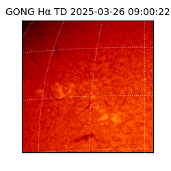 gong - 2025-03-26T09:00:22