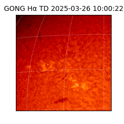 gong - 2025-03-26T10:00:22