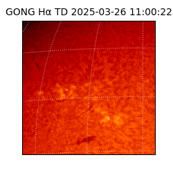 gong - 2025-03-26T11:00:22