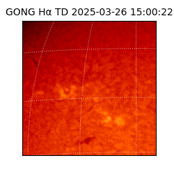 gong - 2025-03-26T15:00:22