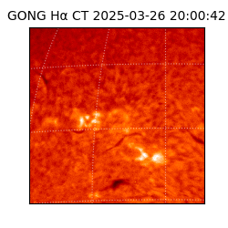 gong - 2025-03-26T20:00:42