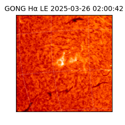 gong - 2025-03-26T02:00:42