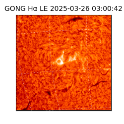 gong - 2025-03-26T03:00:42