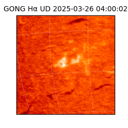 gong - 2025-03-26T04:00:02