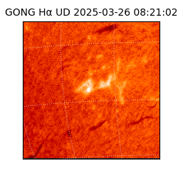 gong - 2025-03-26T08:21:02