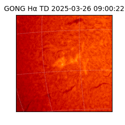 gong - 2025-03-26T09:00:22