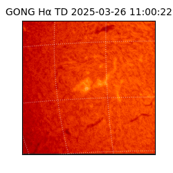 gong - 2025-03-26T11:00:22