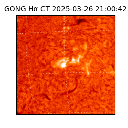 gong - 2025-03-26T21:00:42