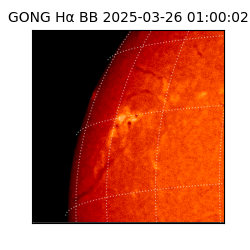 gong - 2025-03-26T01:00:02