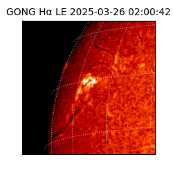 gong - 2025-03-26T02:00:42