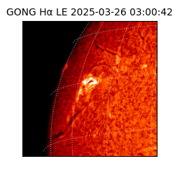 gong - 2025-03-26T03:00:42