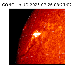 gong - 2025-03-26T08:21:02
