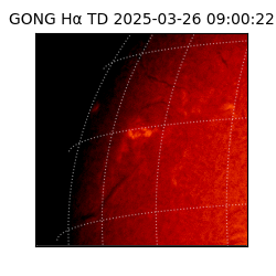gong - 2025-03-26T09:00:22