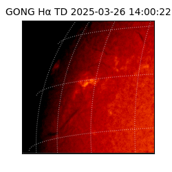 gong - 2025-03-26T14:00:22