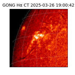 gong - 2025-03-26T19:00:42