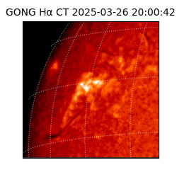 gong - 2025-03-26T20:00:42