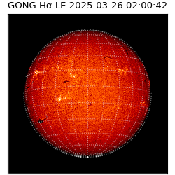 gong - 2025-03-26T02:00:42