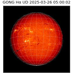 gong - 2025-03-26T05:00:02