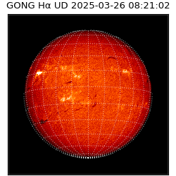 gong - 2025-03-26T08:21:02