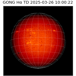 gong - 2025-03-26T10:00:22