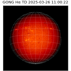 gong - 2025-03-26T11:00:22