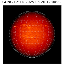 gong - 2025-03-26T12:00:22
