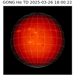 gong - 2025-03-26T18:00:22