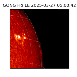 gong - 2025-03-27T05:00:42