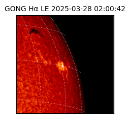 gong - 2025-03-28T02:00:42