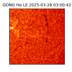 gong - 2025-03-28T03:00:42