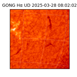 gong - 2025-03-28T08:02:02