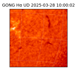 gong - 2025-03-28T10:00:02