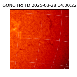 gong - 2025-03-28T14:00:22