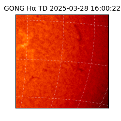 gong - 2025-03-28T16:00:22
